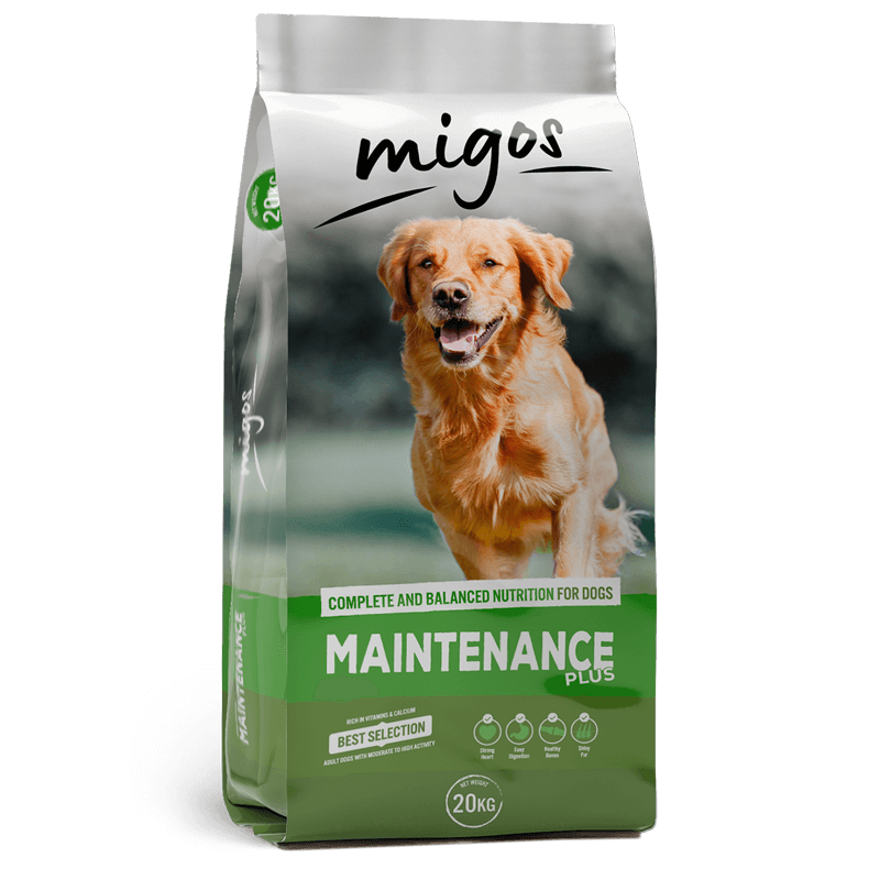 Migos Maintenance plus 20kg
